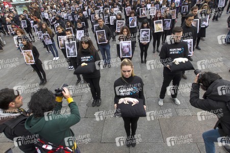 Day of Animal Rights in Madrid