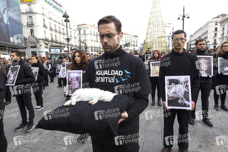 Day of Animal Rights in Madrid