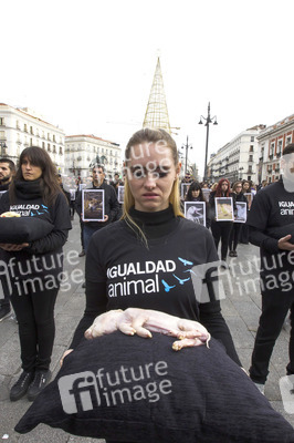 Day of Animal Rights in Madrid