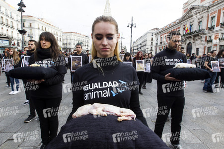 Day of Animal Rights in Madrid