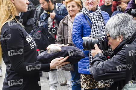 Day of Animal Rights in Madrid
