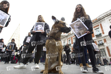 Day of Animal Rights in Madrid