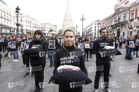 Day of Animal Rights in Madrid