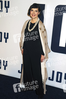 Filmpremiere 'Joy: Alles außer gewöhnlich' in New York