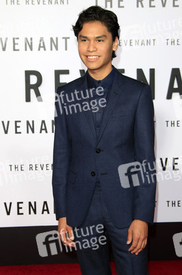 Filmpremiere 'The Revenant - Der Rückkehrer' in Los Angeles
