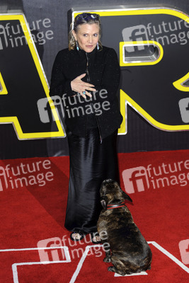 Filmpremiere 'Star Wars: Das Erwachen der Macht' in London
