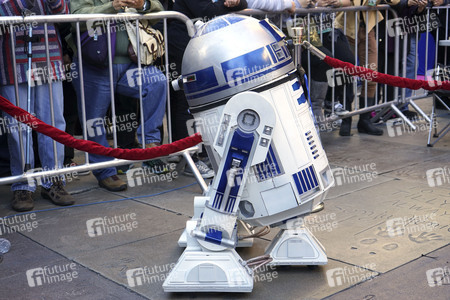 Star Wars Hochzeit in Los Angeles