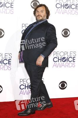 People's Choice Awards 2016 in Los Angeles