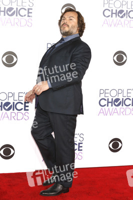 People's Choice Awards 2016 in Los Angeles