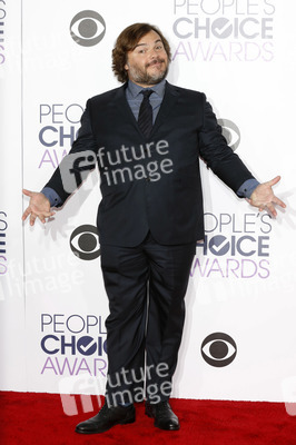 People's Choice Awards 2016 in Los Angeles