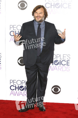People's Choice Awards 2016 in Los Angeles