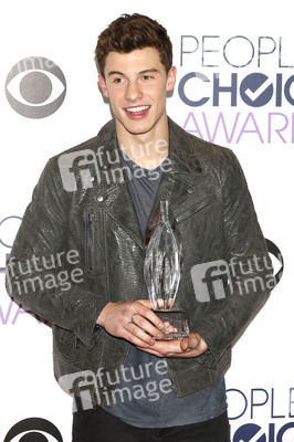 People's Choice Awards 2016 in Los Angeles