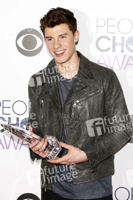 People's Choice Awards 2016 in Los Angeles