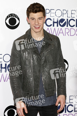 People's Choice Awards 2016 in Los Angeles