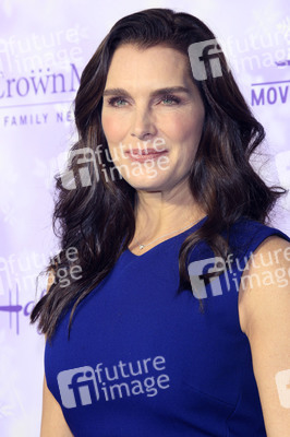 Hallmark Channel Winter 2016 TCA Press Tour in Pasadena