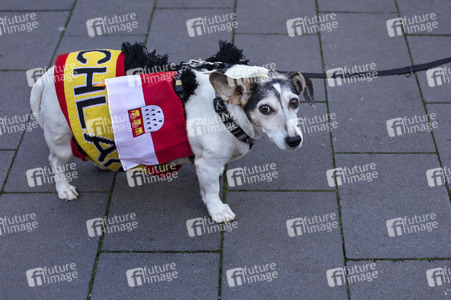 Pegida Demo in Köln