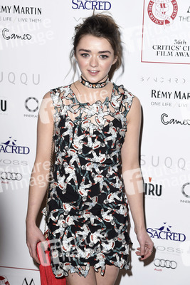 Critics' Circle Film Awards 2016 in London
