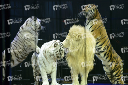 Circus Krone Premiere in München