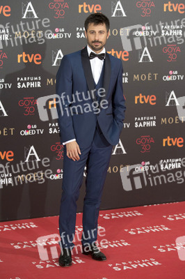 Premios Goya 2016 in Madrid