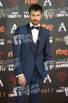 Premios Goya 2016 in Madrid