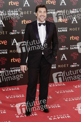 Premios Goya 2016 in Madrid