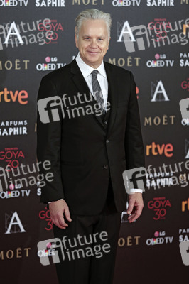 Premios Goya 2016 in Madrid
