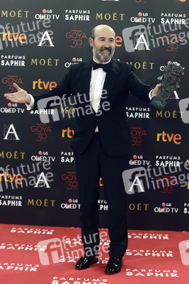 Premios Goya 2016 in Madrid