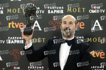 Premios Goya 2016 in Madrid