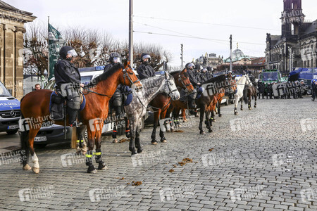 Gegendemonstration zu Pegida in Dresden