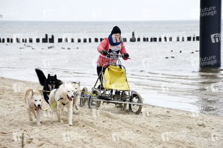 Baltic Lights 2016 auf Usedom