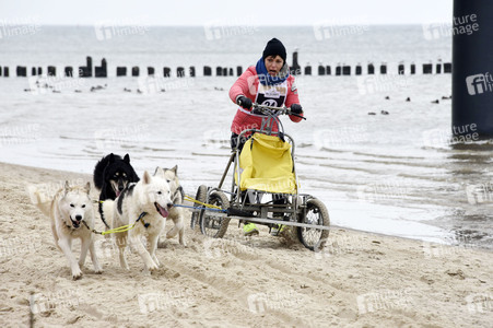 Baltic Lights 2016 auf Usedom