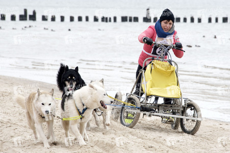 Baltic Lights 2016 auf Usedom