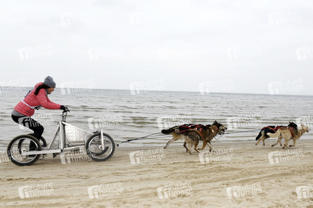 Baltic Lights 2016 auf Usedom