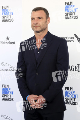 Film Independent Spirit Awards 2016 in Santa Monica