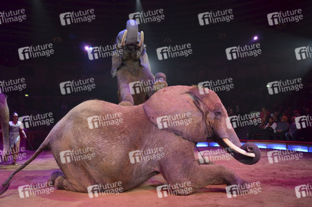 Premiere der 3. Winterspielzeit des Circus Krone in München