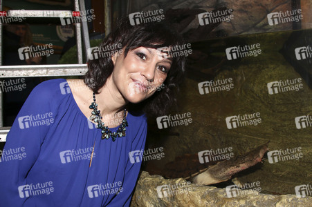 Eröffnung der Sonderausstellung 'Abenteuer Schildkröte' im Sealife Timmendorfer Strand