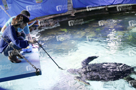 Eröffnung der Sonderausstellung 'Abenteuer Schildkröte' im Sealife Timmendorfer Strand