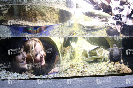 Eröffnung der Sonderausstellung 'Abenteuer Schildkröte' im Sealife Timmendorfer Strand