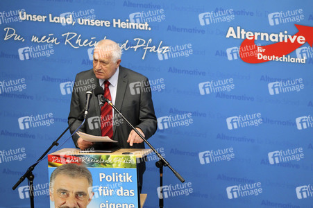 Afd Wahlkampf-Abschlussveranstaltung in Neuwied