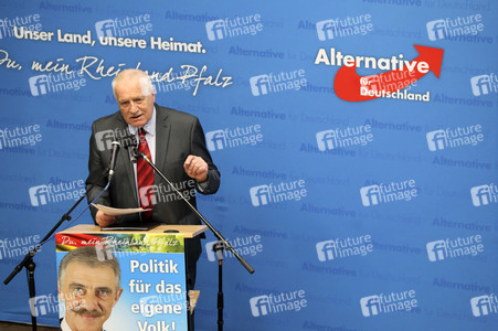 Afd Wahlkampf-Abschlussveranstaltung in Neuwied