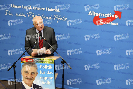 Afd Wahlkampf-Abschlussveranstaltung in Neuwied