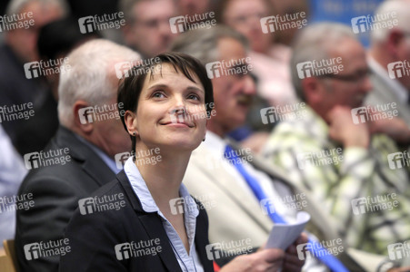 Afd Wahlkampf-Abschlussveranstaltung in Neuwied