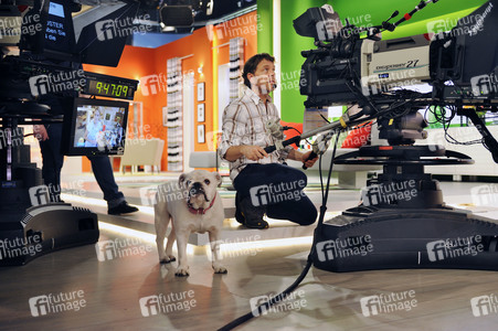 Photoshooting mit Studiohund Lotte in Berlin
