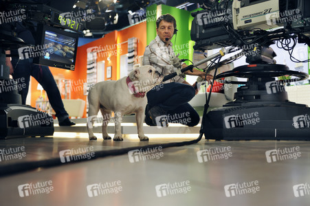 Photoshooting mit Studiohund Lotte in Berlin