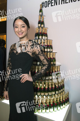 Moet VIP Room bei den 10.Asian Film Awards in Macau