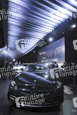 116. New York International Auto Show in New York