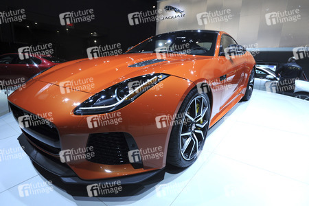 116. New York International Auto Show in New York