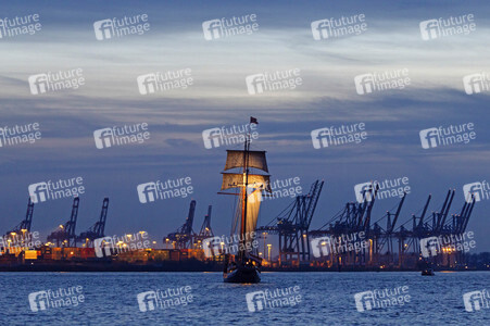 Kräne im Hamburger Hafen