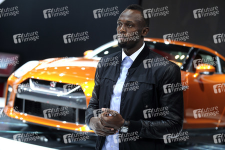 116. New York International Auto Show in New York