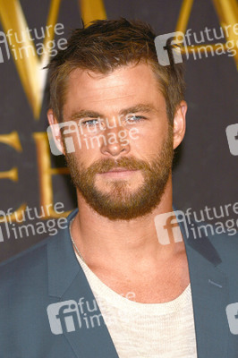 Photocall zu 'The Huntsman & the Ice Queen' in Hamburg